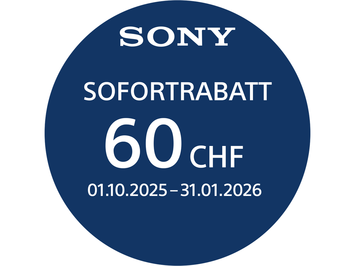 Sony Alpha 6100 A Kit argent 16-50mm II