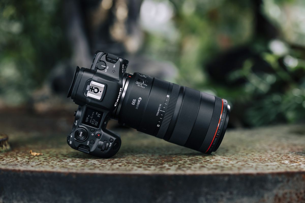 Canon RF 100mm f/2.8L Macro IS USM