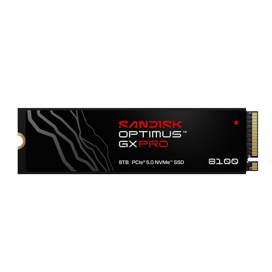 SANDISK Optimus GX PRO 8100 SSD 4TB