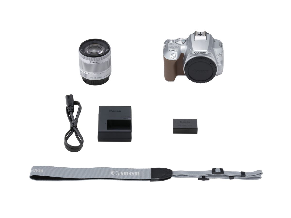 Canon EOS 250D + 18-55mm IS Silber
