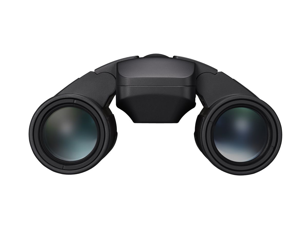 Nikon Fernglas Stabilized 10x25 S