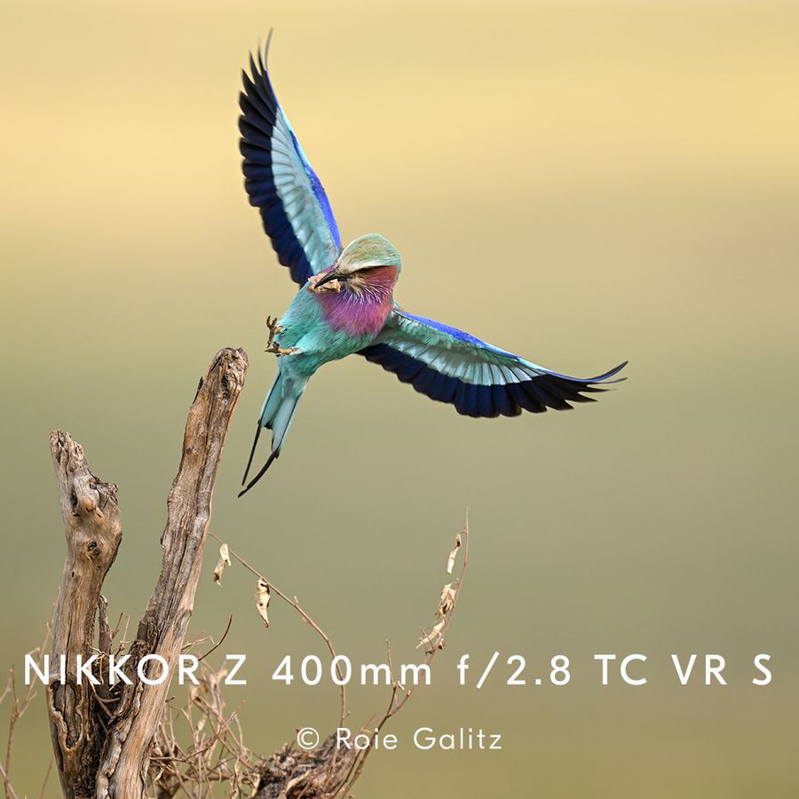 Nikkor Z 400mm f/2.8 S TC