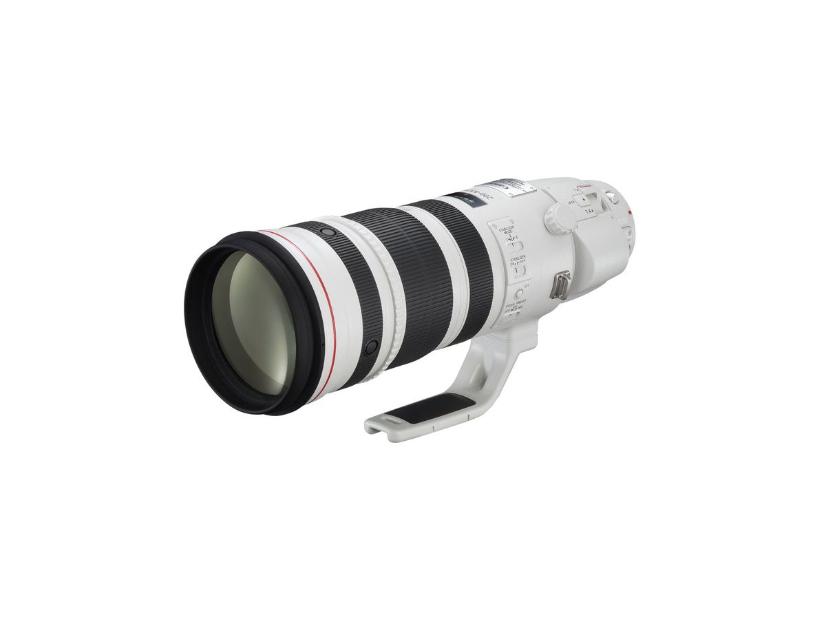 Canon EF 200-400mm 4L IS USM Extender 1.