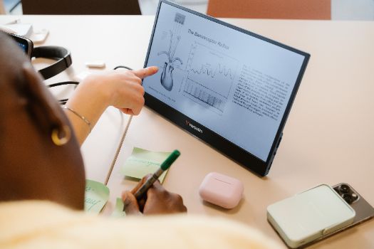 Verbatim Portable Monitor 14"