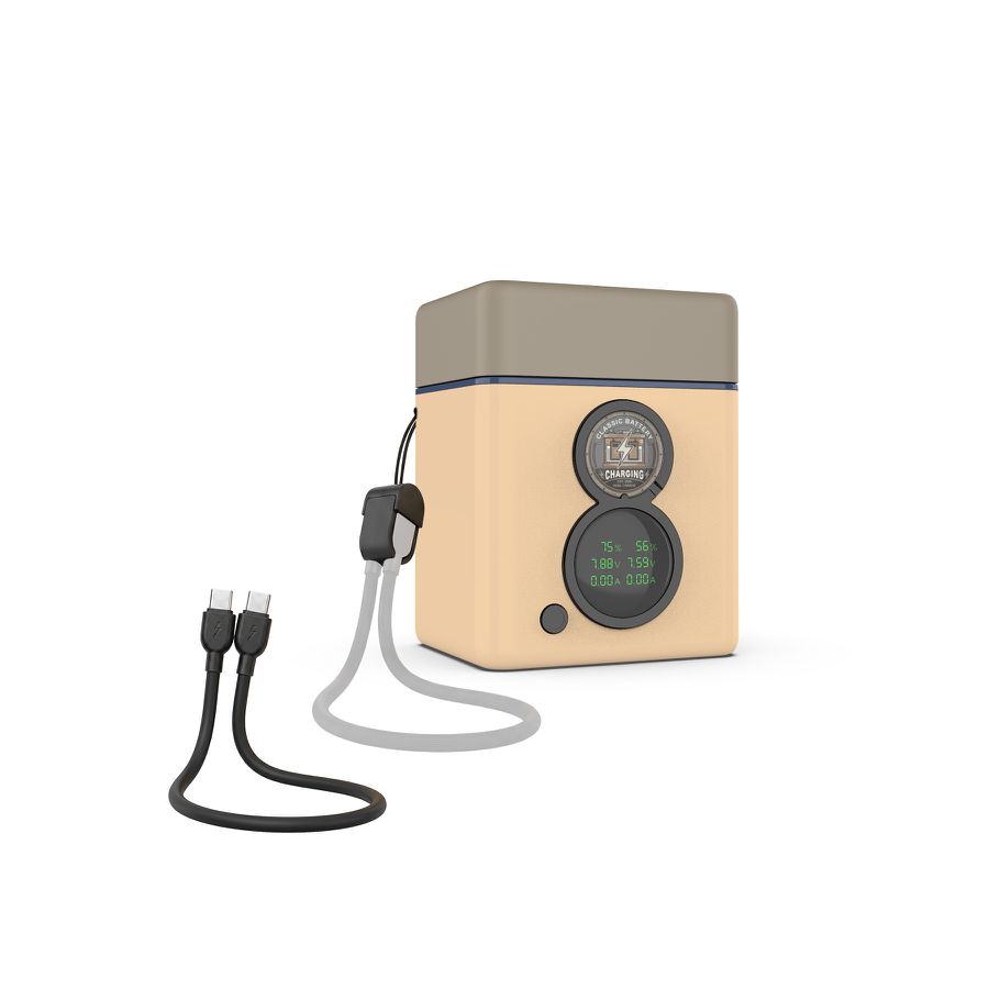 Patona NP-FZ100 Set Chargeur 2 Batterie