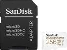 SanDisk microSDXC Max Endurance 256GB