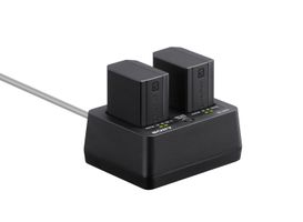Sony BC-SAD1 Dual Battery Charger SA100