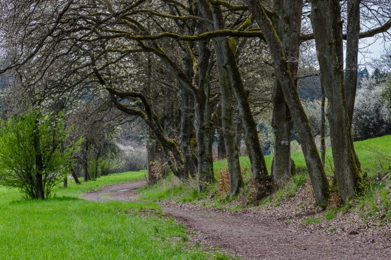 Pentax smc D-FA 100mm / 2.8 - WR Makro