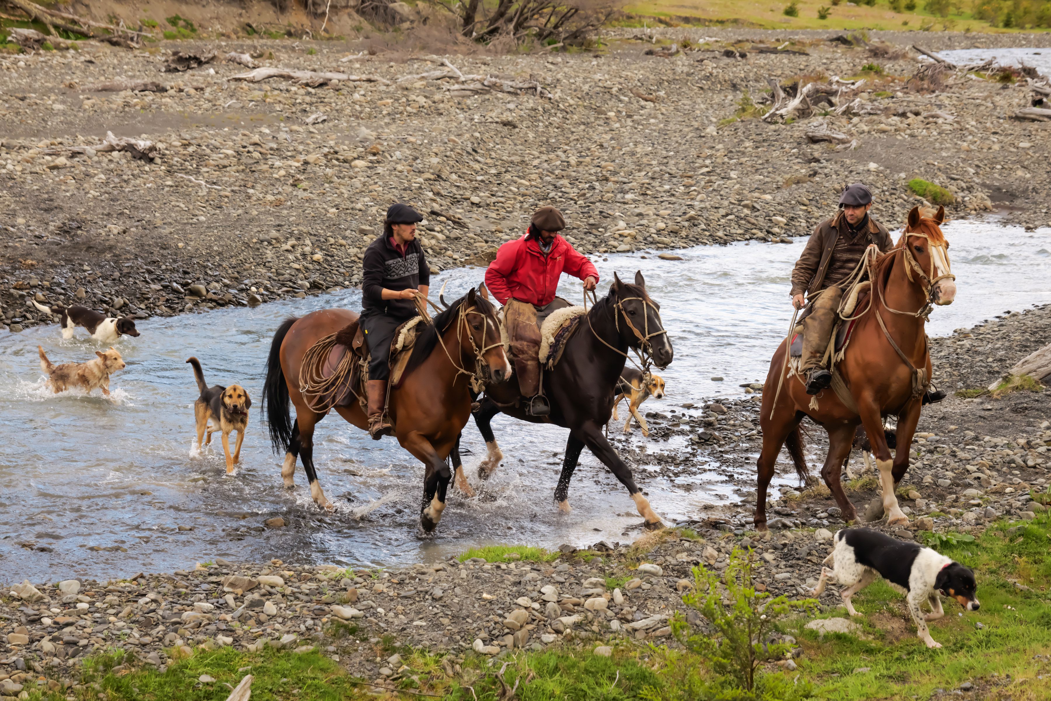 Panasonic Lumix S PRO 70-200mm F4 OIS