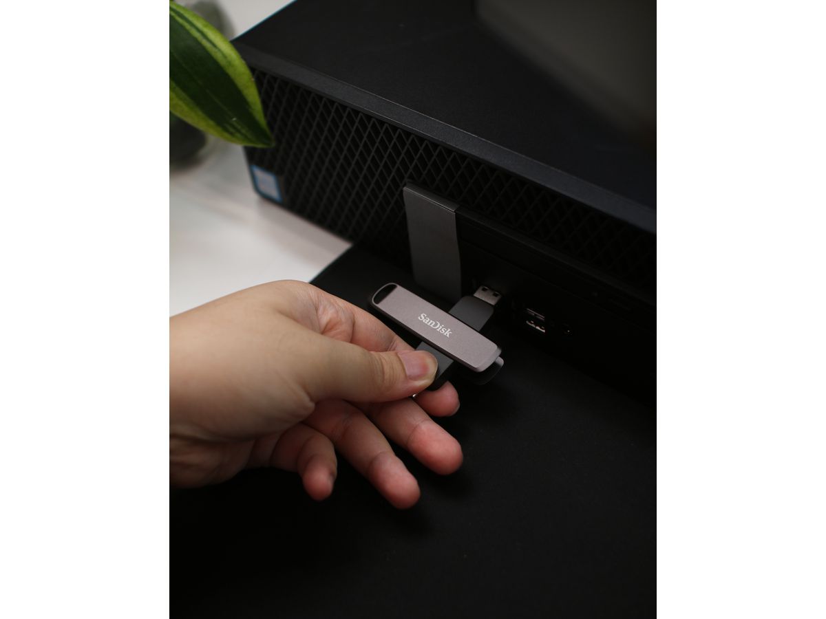 SanDisk Extreme Pro Dual Drive 256GB