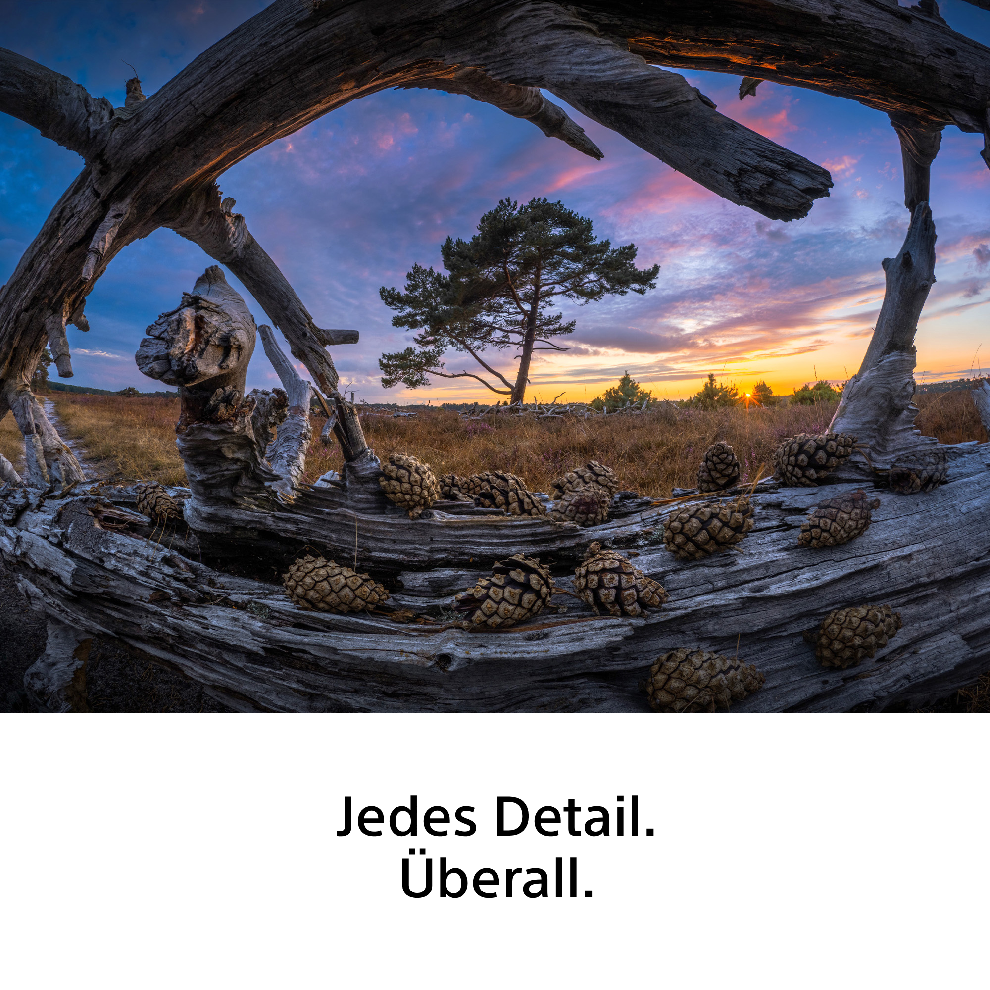 Sony FE 8-14mm F3.5 Fisheye G Lens