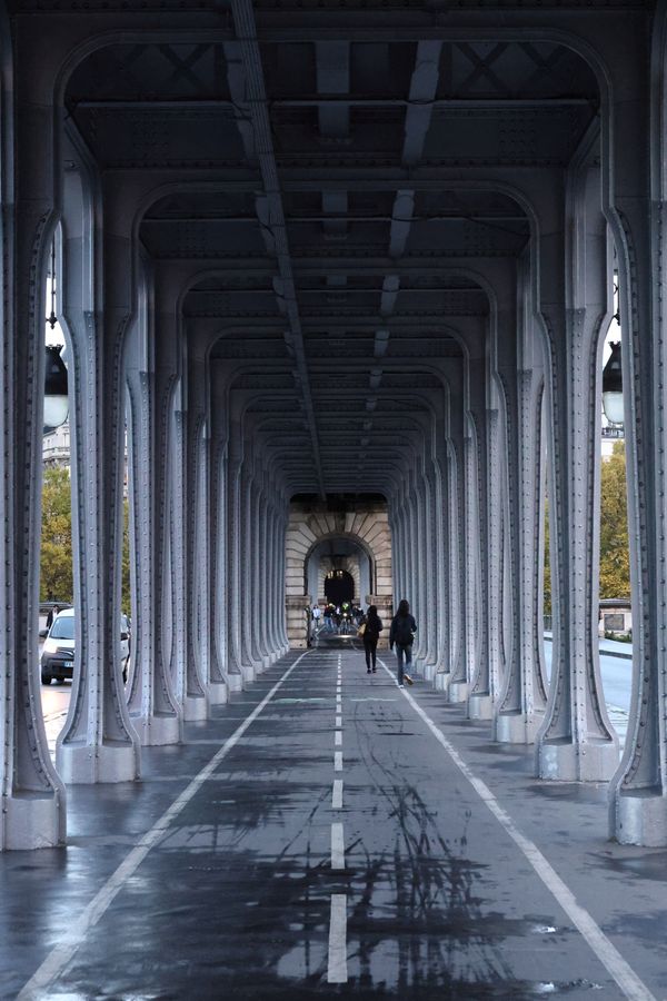 Canon EOS R8 + RF 24-105mm 4-7.1 IS STM