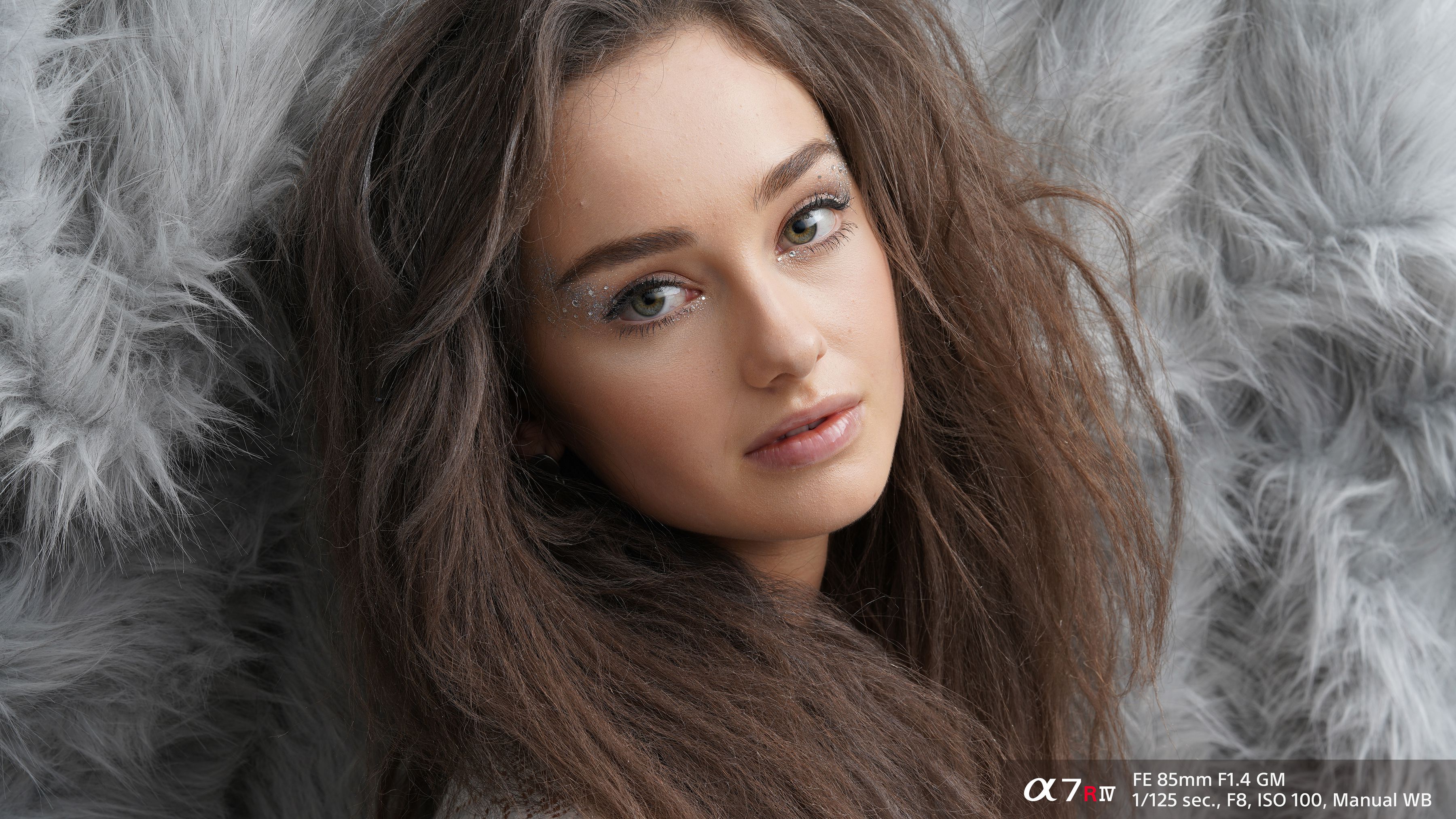 Sony Alpha A7R Mark IV Body Black